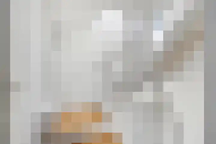 Bijlander 20 Woerden thumbnail 25