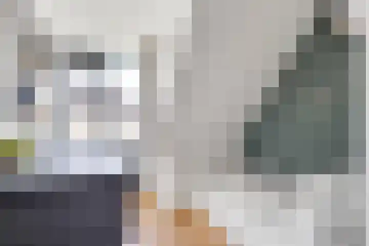 Bijlander 20 Woerden thumbnail 28