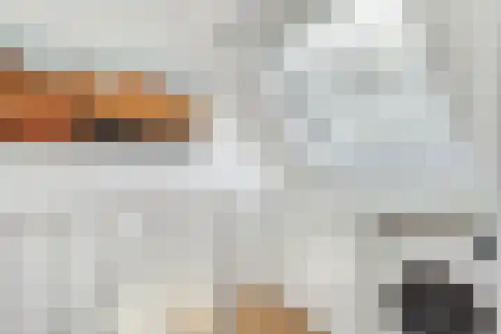 Bijlander 20 Woerden thumbnail 38