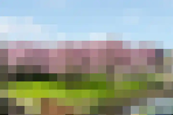 Bijlander 20 Woerden thumbnail 43