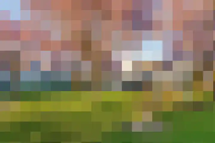 Bijlander 20 Woerden thumbnail 45