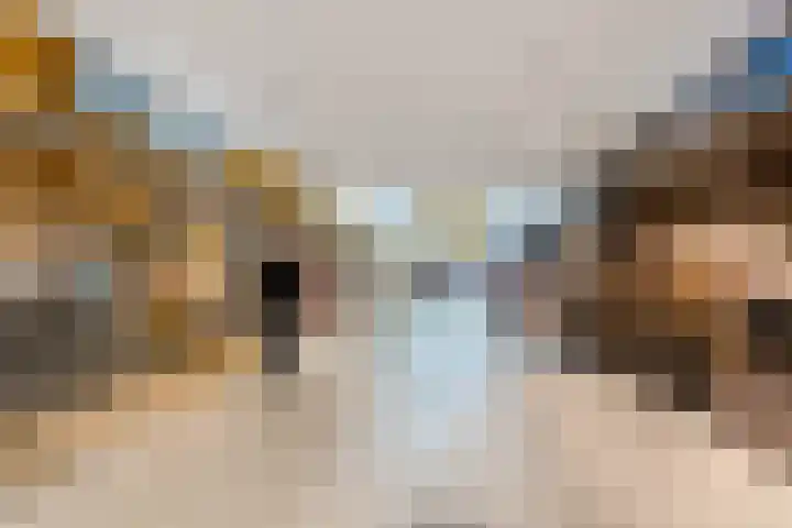 Bijlander 20 Woerden thumbnail 47