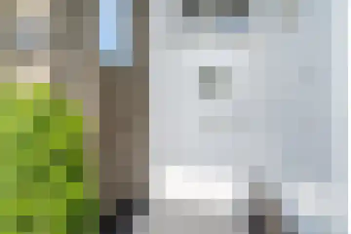 Bijlander 20 Woerden thumbnail 5