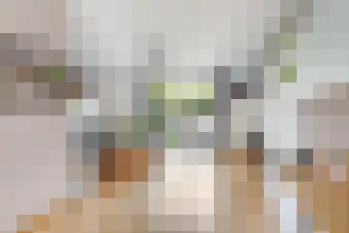 Bijlander 20 Woerden thumbnail 8