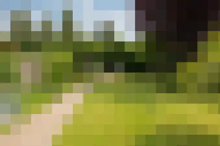 Bijlandseweg 14 Tolkamer thumbnail 41