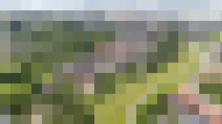 Bijlandseweg 14 Tolkamer thumbnail 7