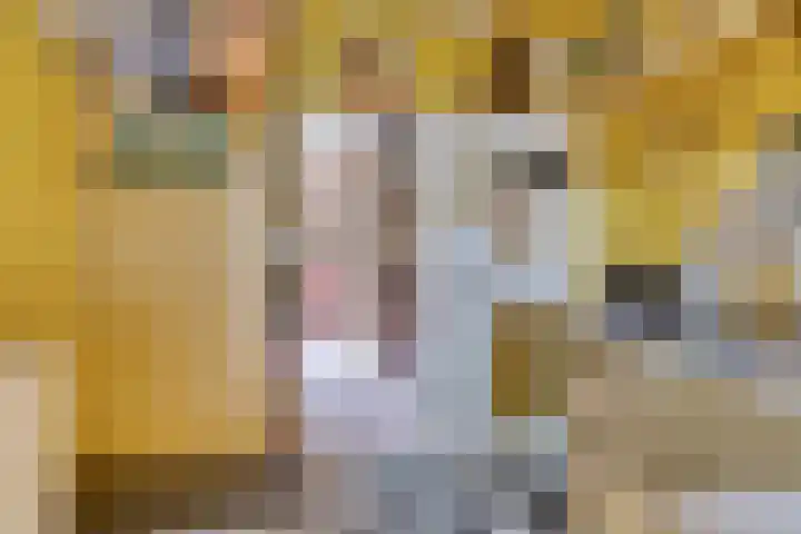 Bijleveldlaan 17 Warmond thumbnail 21