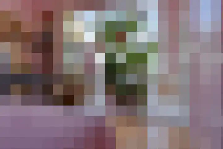 Bijleveldlaan 17 Warmond thumbnail 30