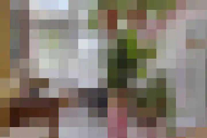 Bijleveldlaan 17 Warmond thumbnail 32