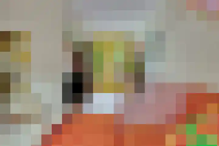 Bijleveldlaan 17 Warmond thumbnail 9
