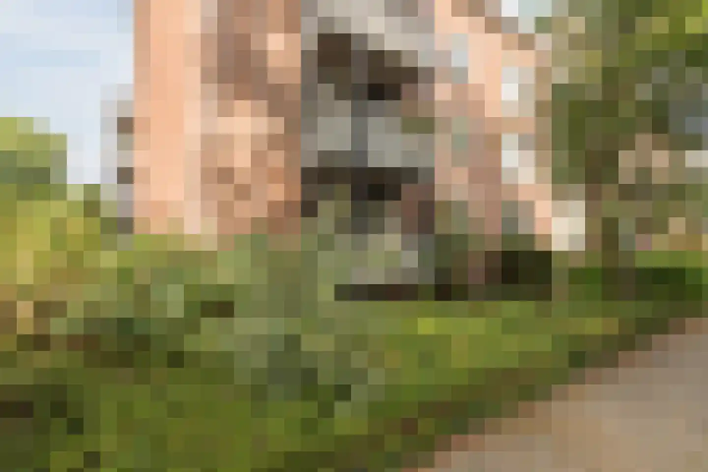 Bijleveldsingel 20 A B Nijmegen thumbnail 30
