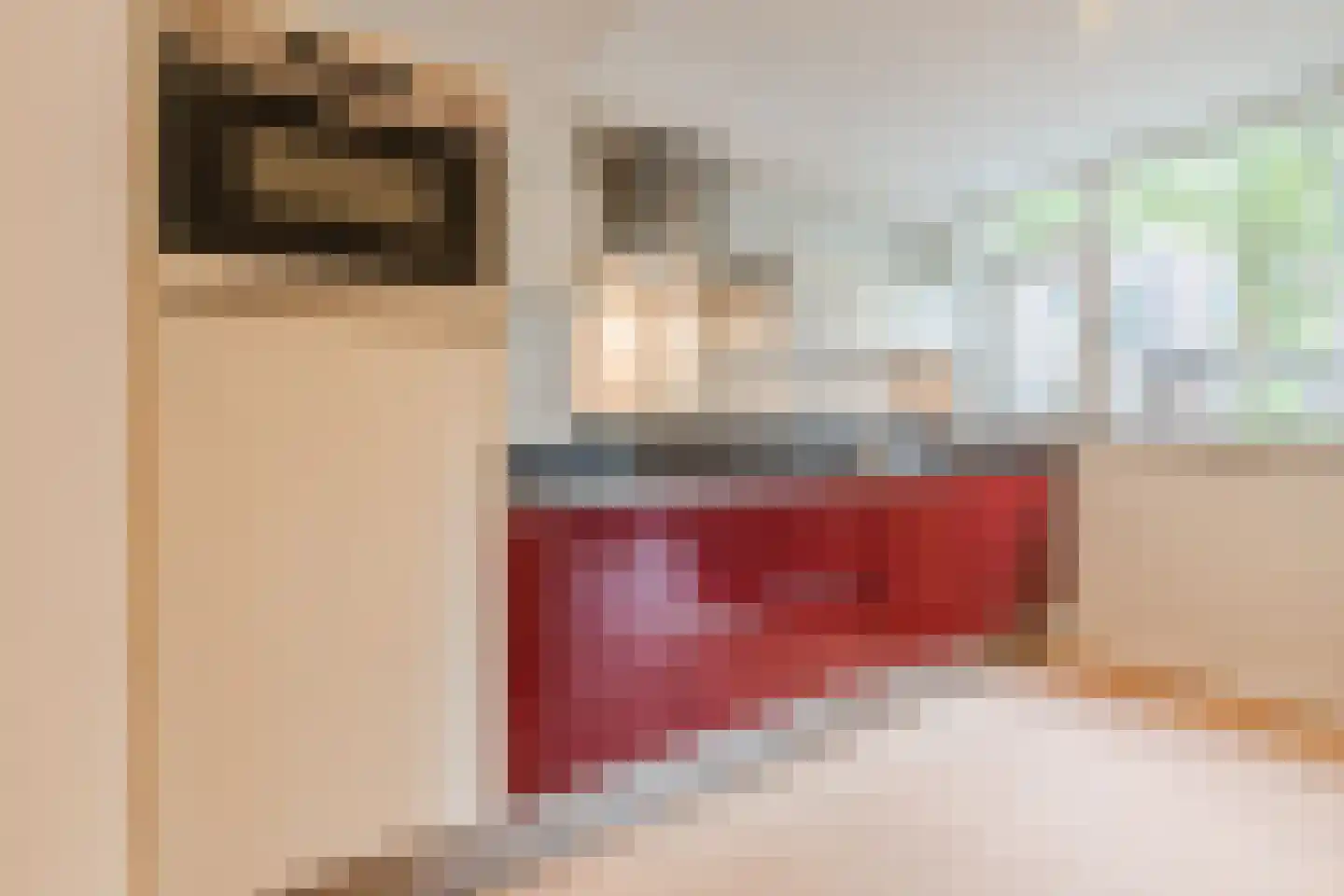 Bijleveldsingel 20 A B Nijmegen thumbnail 8