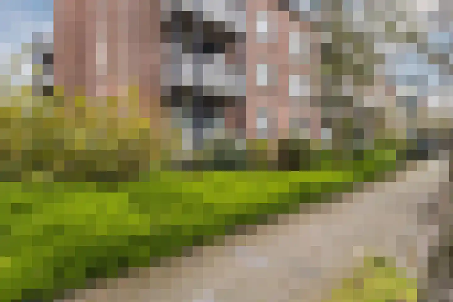 Bijleveldsingel 20 A E Nijmegen thumbnail 32
