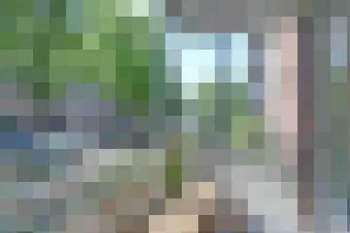 Bijleveldsingel 20 B H Nijmegen thumbnail 20