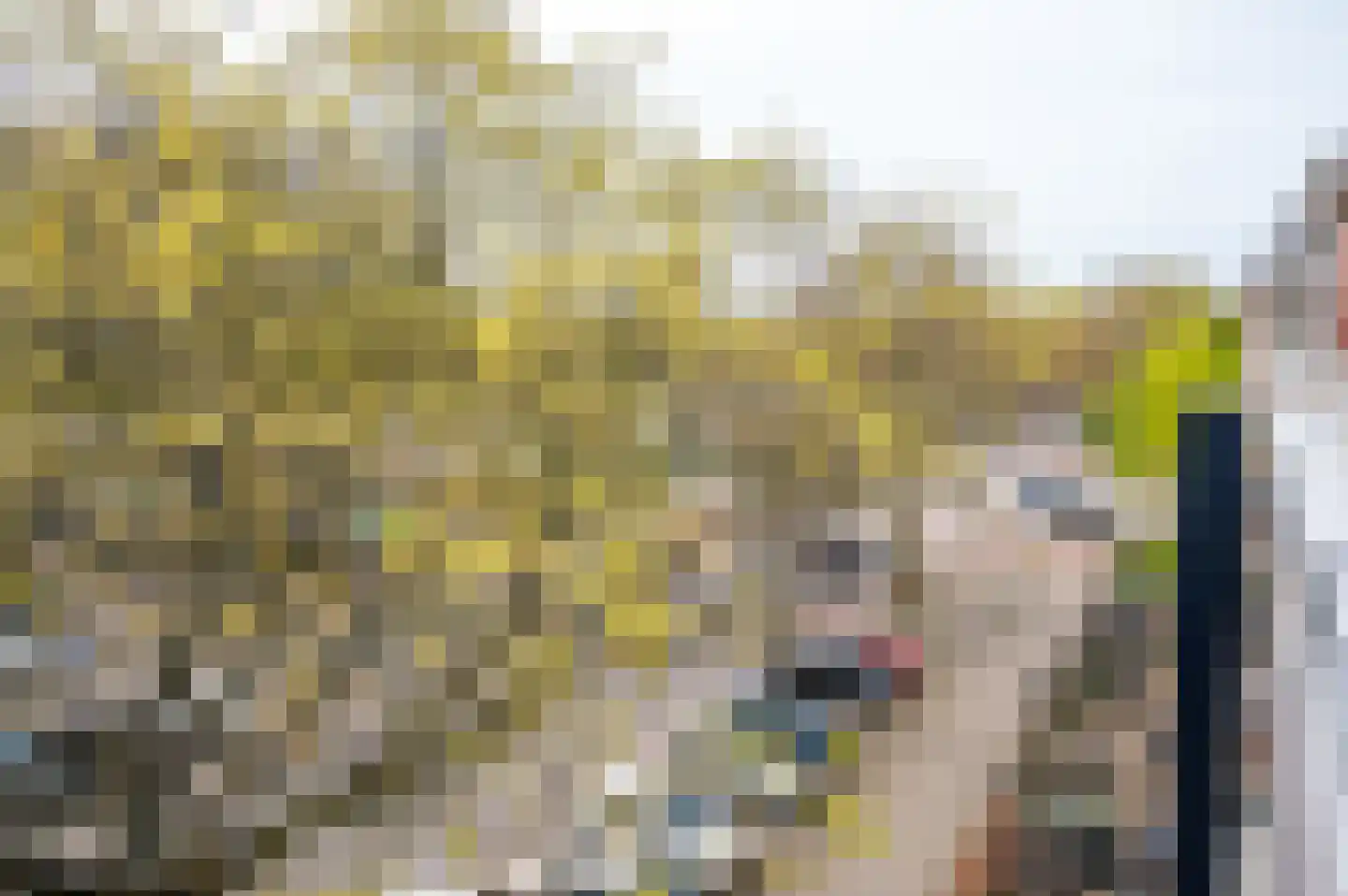 Bijleveldsingel 20 D A Nijmegen thumbnail 7