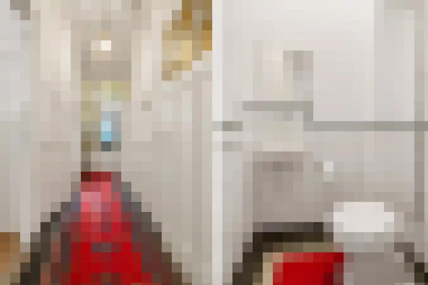 Bijleveldsingel 36 Nijmegen thumbnail 18