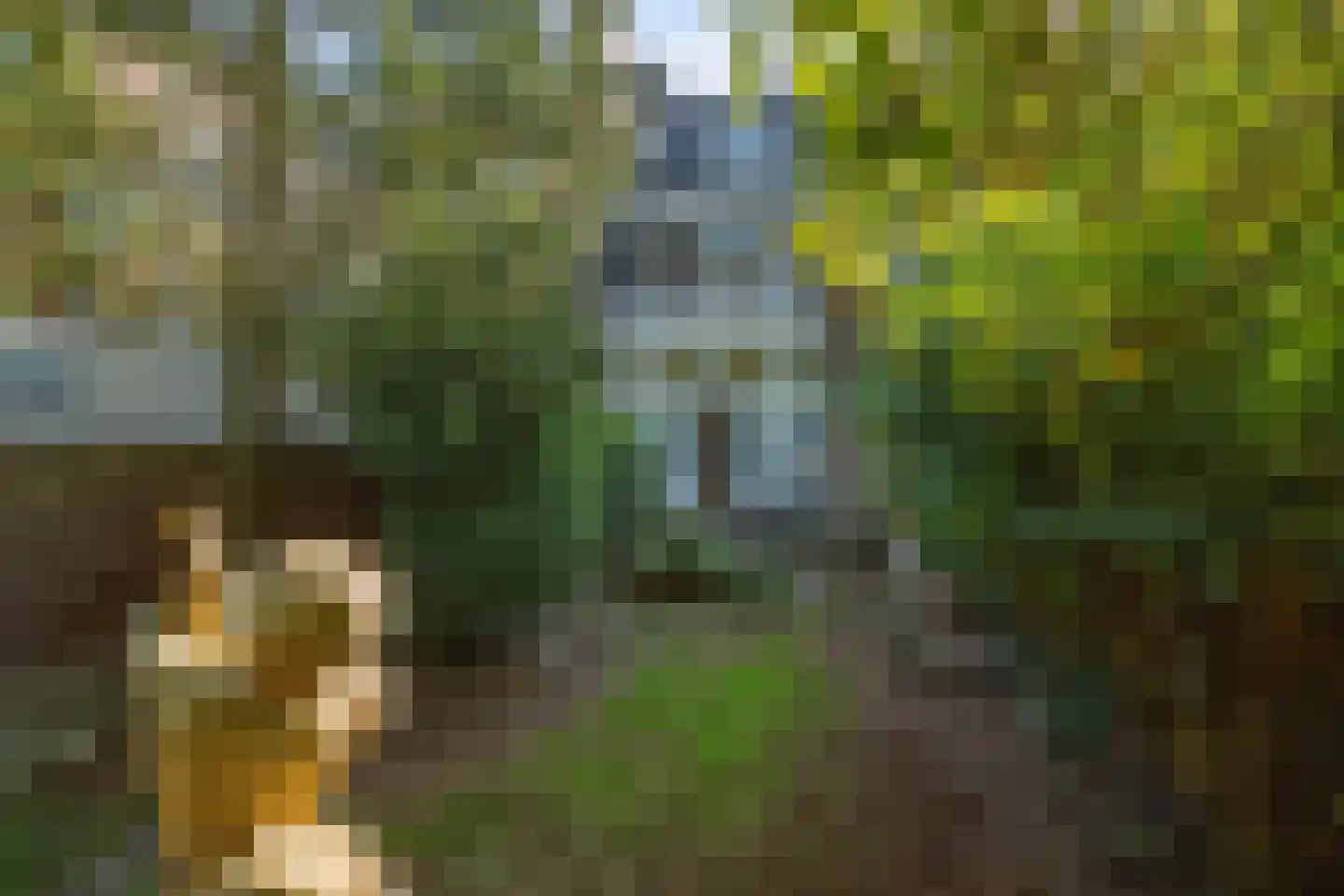 Bijleveldsingel 36 Nijmegen thumbnail 37