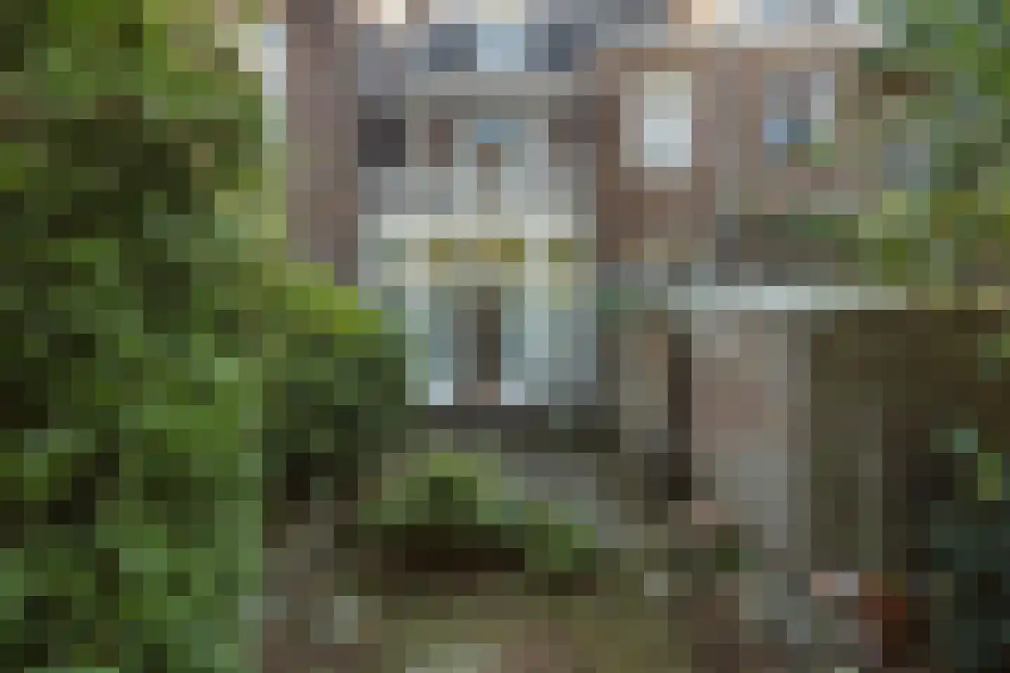Bijleveldsingel 36 Nijmegen thumbnail 38