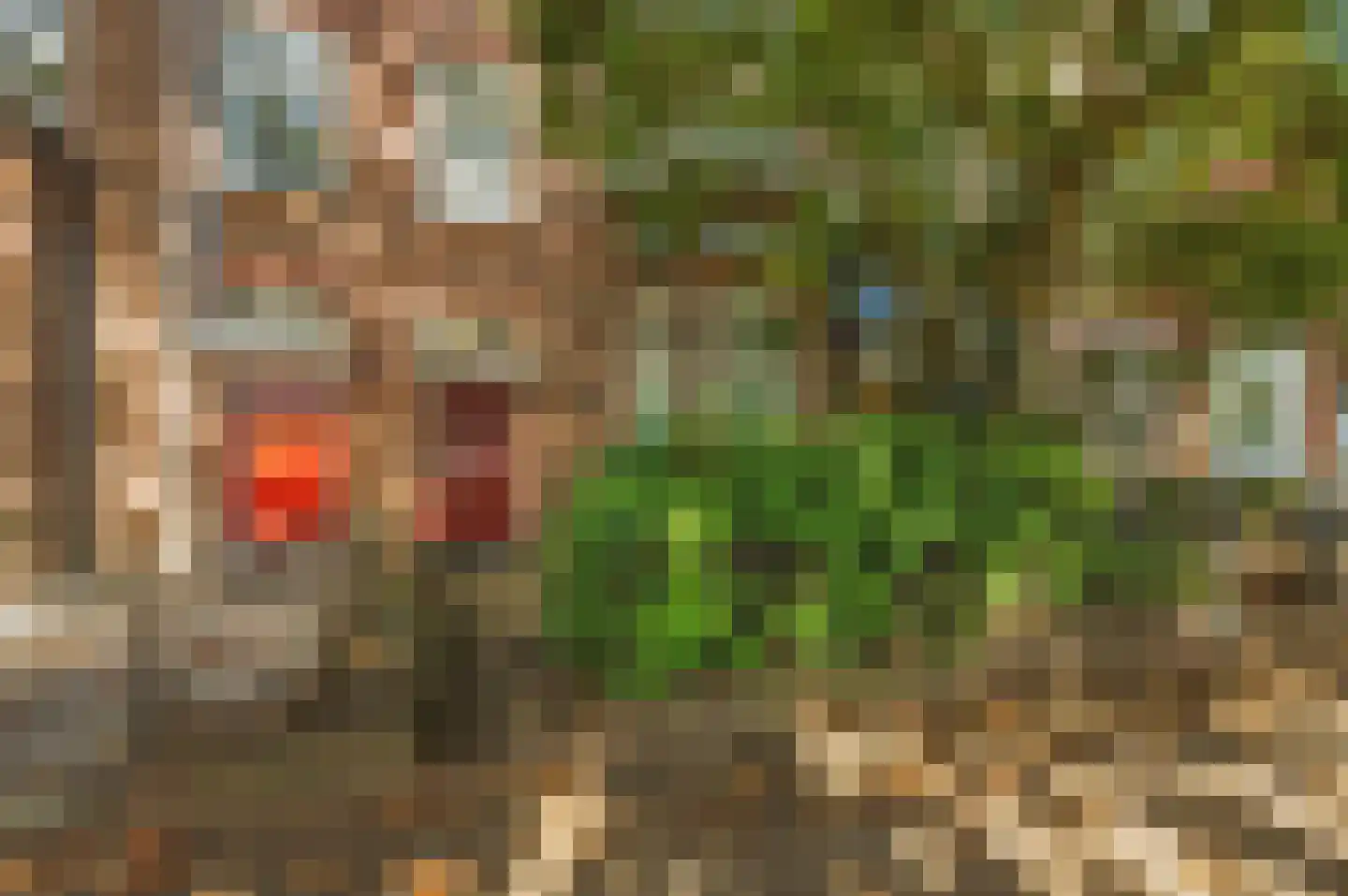 Bijleveldsingel 36 Nijmegen thumbnail 39