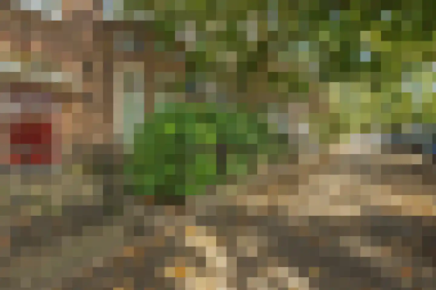 Bijleveldsingel 36 Nijmegen thumbnail 40