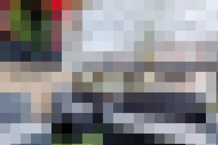 Bijleveldsingel 49 Nijmegen thumbnail 19
