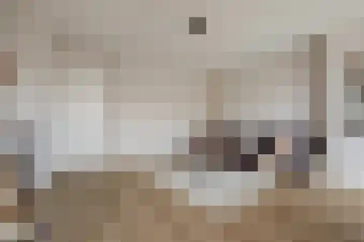 Bijleveldsingel 5 B Nijmegen thumbnail 12