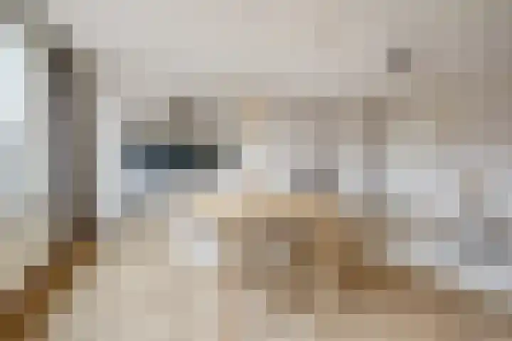 Bijleveldsingel 5 B Nijmegen thumbnail 17