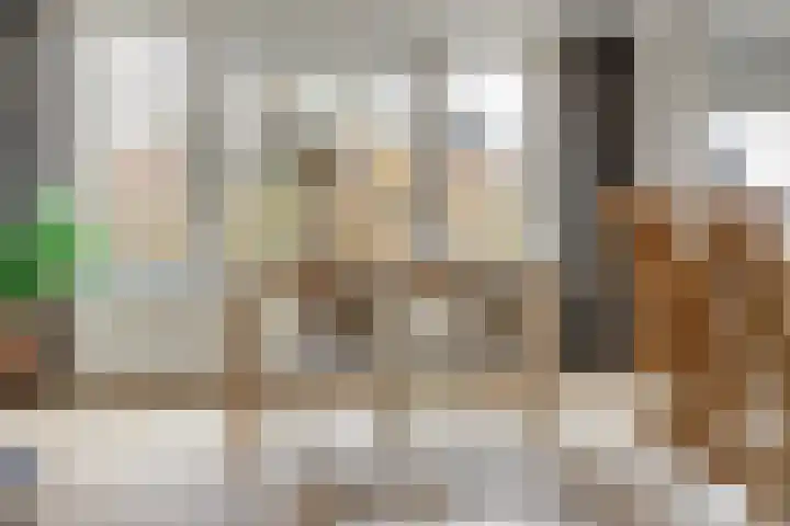 Bijleveldsingel 5 B Nijmegen thumbnail 18