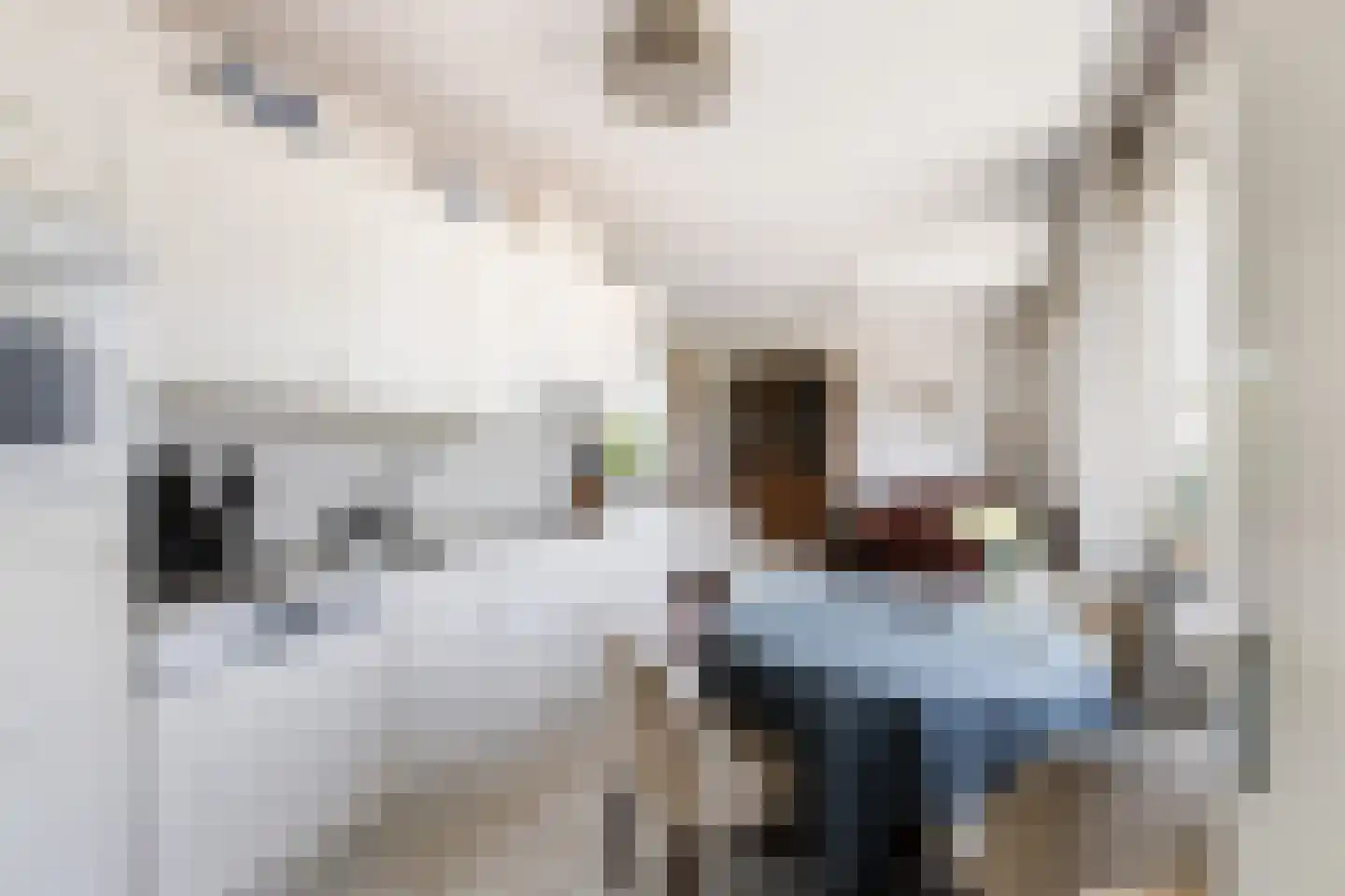 Bijleveldweg 14 Vleuten thumbnail 14