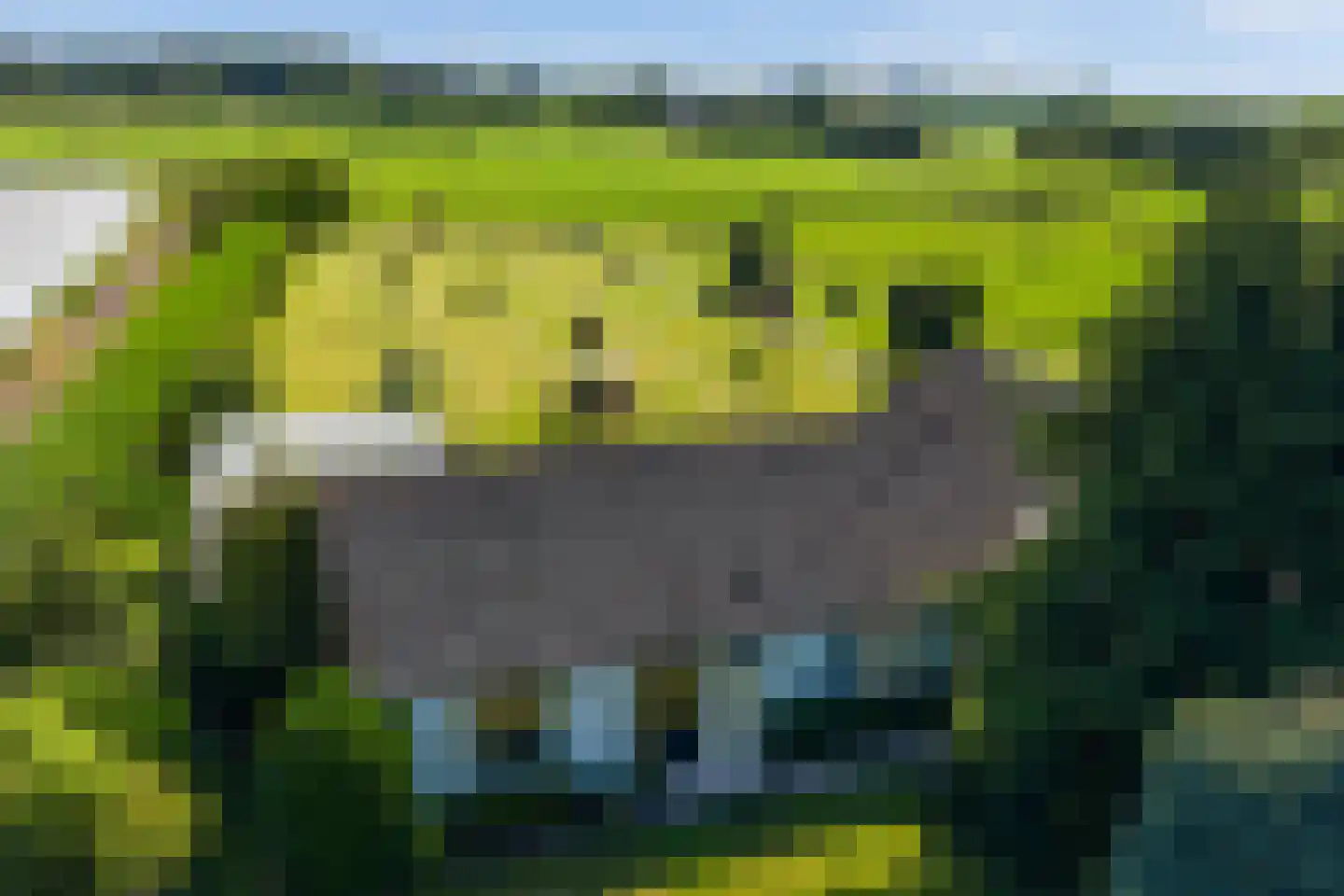 Bijleveldweg 14 Vleuten thumbnail 19