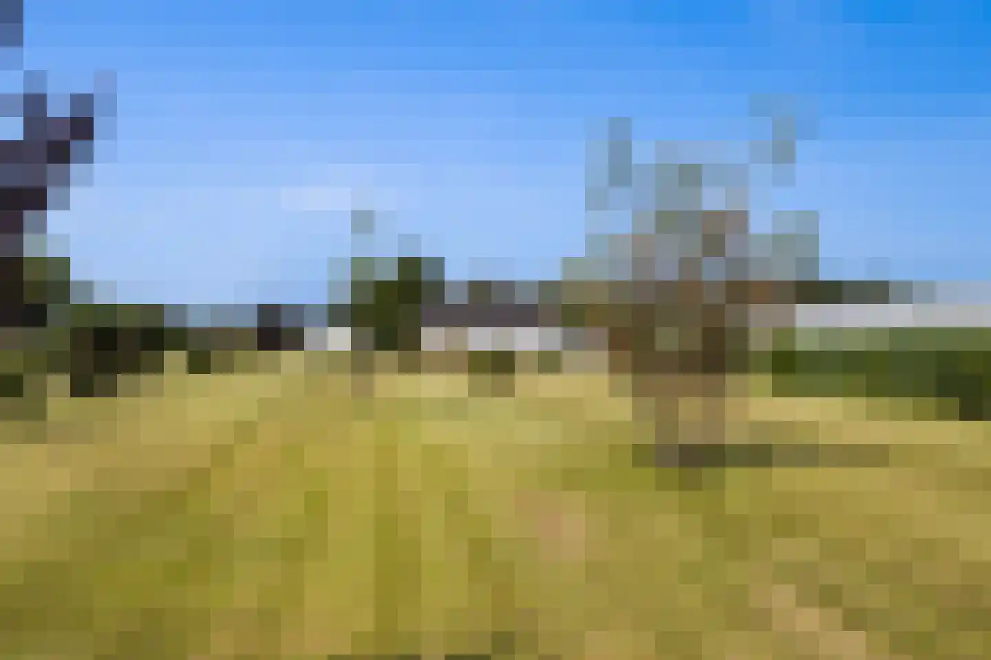 Bijleveldweg 14 Vleuten thumbnail 30