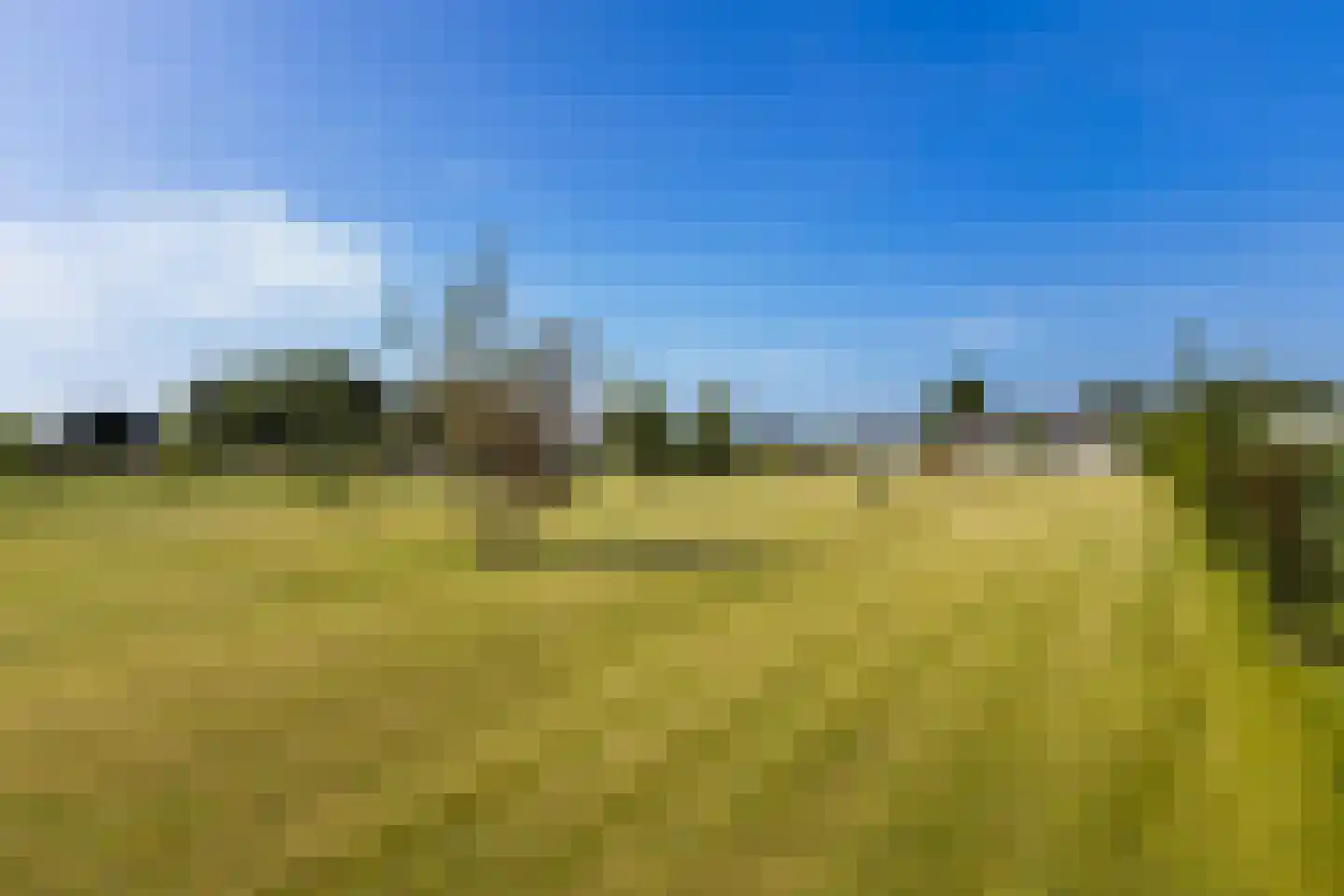 Bijleveldweg 14 Vleuten thumbnail 31