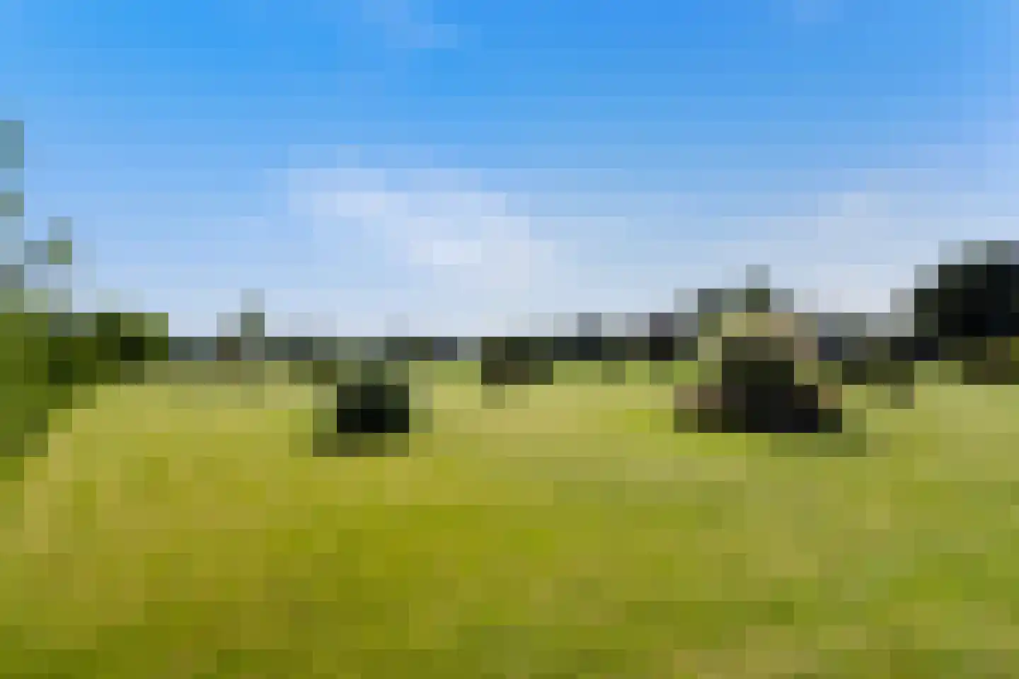 Bijleveldweg 14 Vleuten thumbnail 32