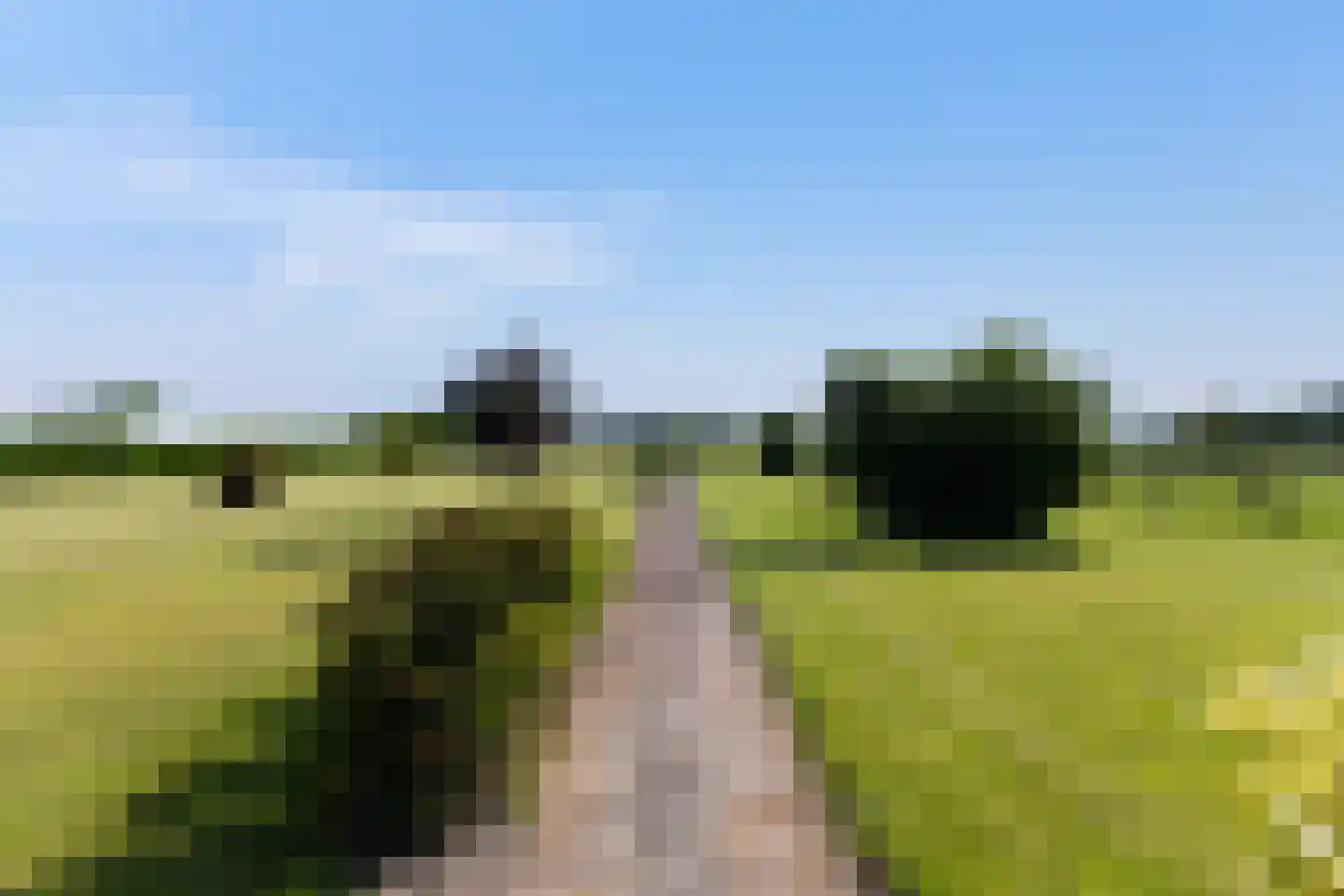 Bijleveldweg 14 Vleuten thumbnail 35