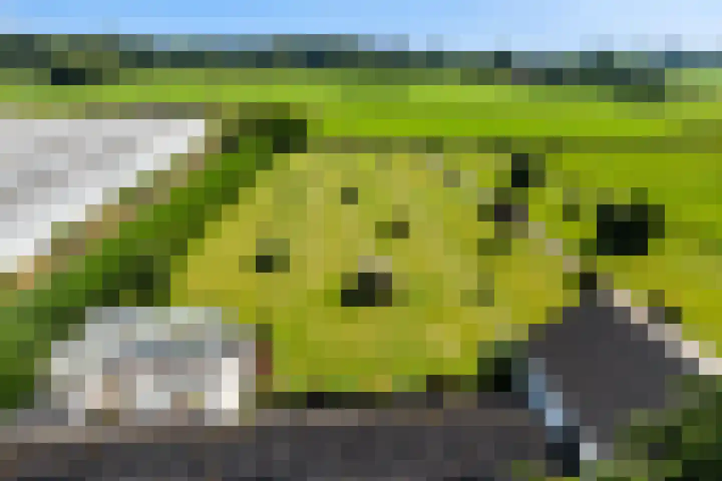 Bijleveldweg 14 Vleuten thumbnail 38
