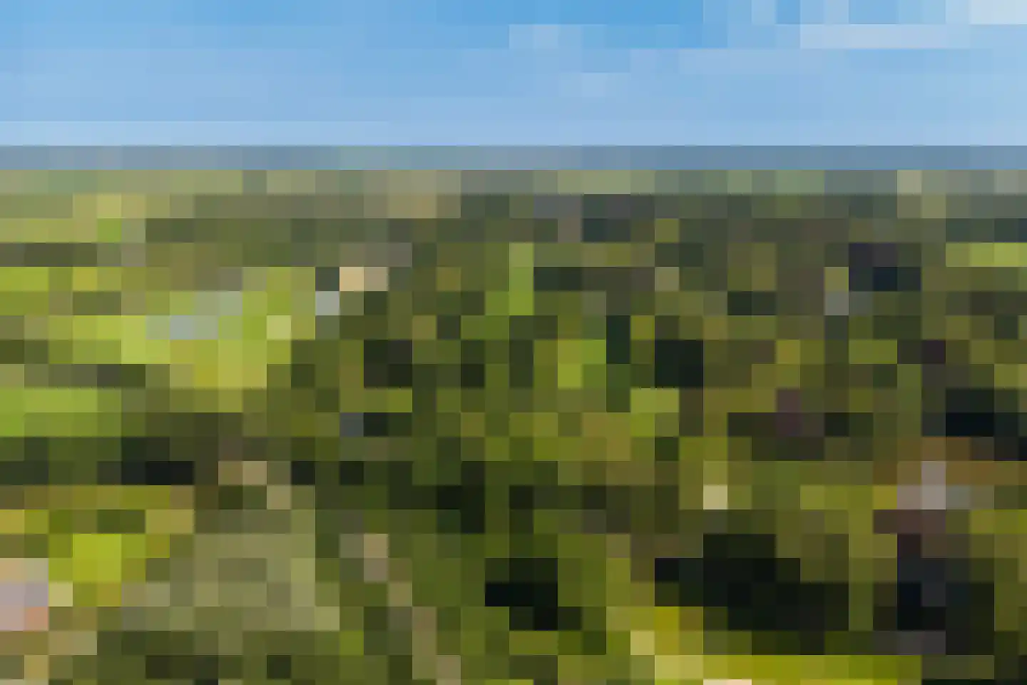 Bijleveldweg 14 Vleuten thumbnail 41