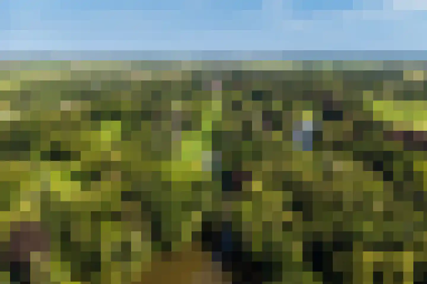 Bijleveldweg 14 Vleuten thumbnail 42