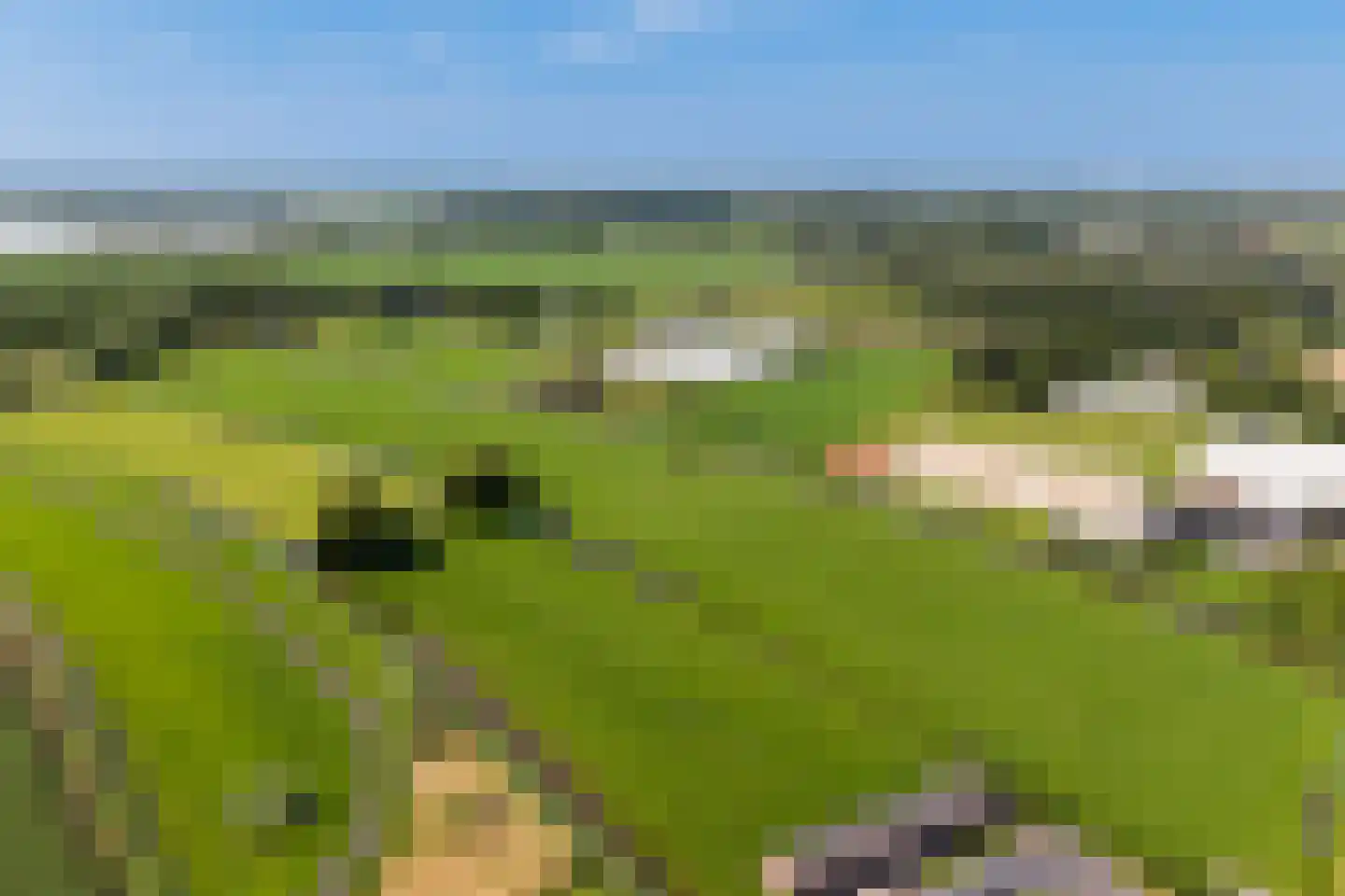 Bijleveldweg 14 Vleuten thumbnail 43