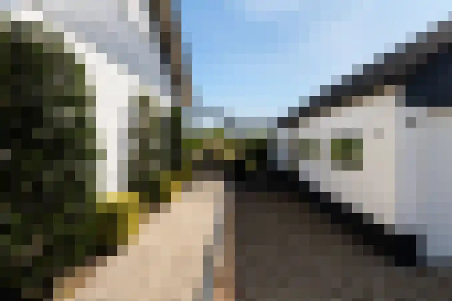 Bijleveldweg 14 Vleuten thumbnail 6