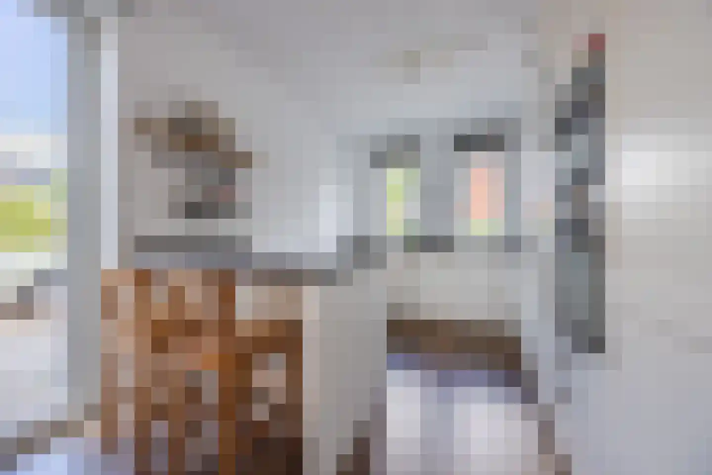 Bijlkamp 26 Valkenburg thumbnail 17