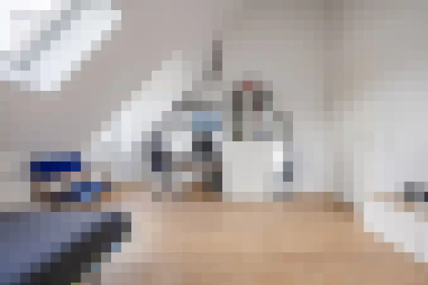 Bijlkamp 26 Valkenburg thumbnail 45