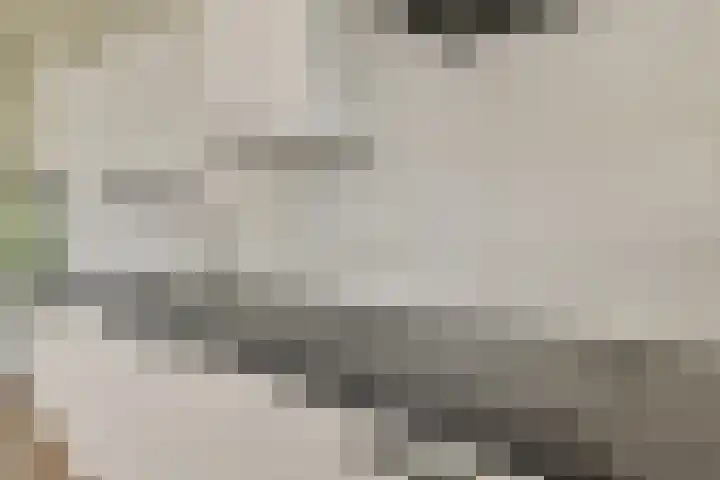 Bijlmerdreef 1101 Amsterdam thumbnail 10