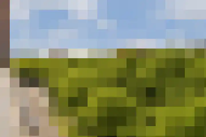 Bijlmerdreef 1101 Amsterdam thumbnail 17