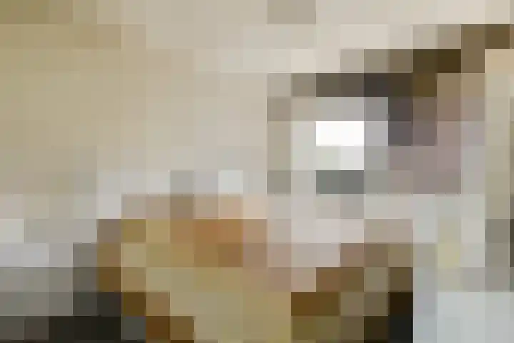 Bijlmerdreef 1101 Amsterdam thumbnail 19