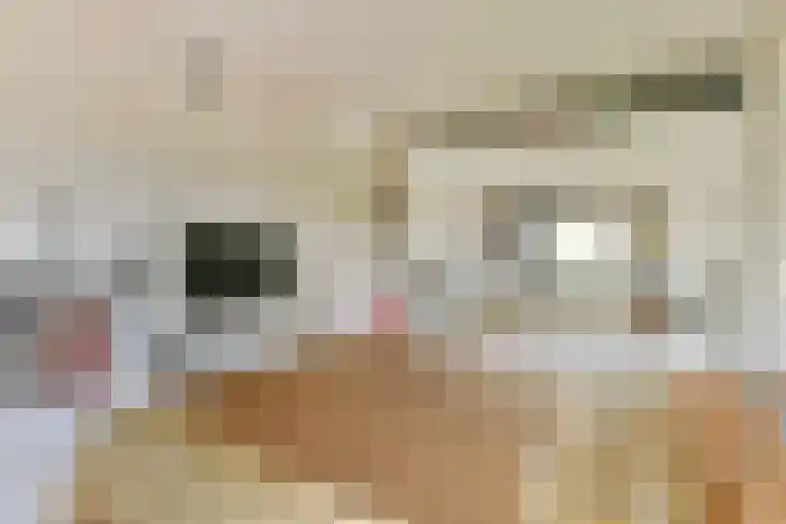 Bijlmerdreef 1101 Amsterdam thumbnail 20