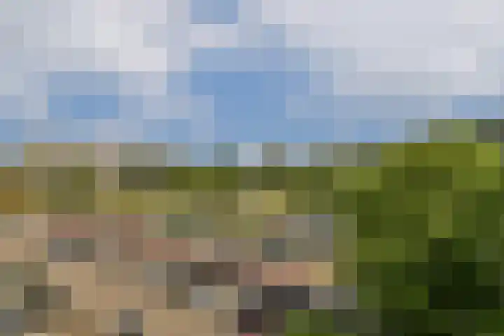 Bijlmerdreef 1101 Amsterdam thumbnail 24