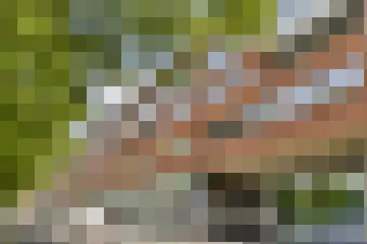Bijlmerdreef 1101 Amsterdam thumbnail 26