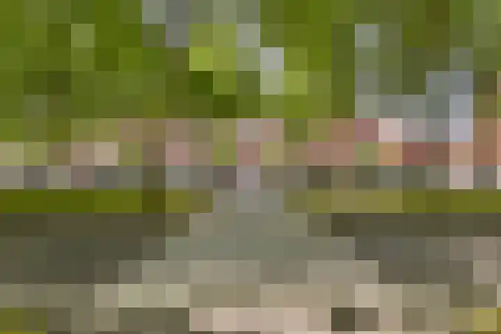 Bijlmerdreef 1101 Amsterdam thumbnail 27