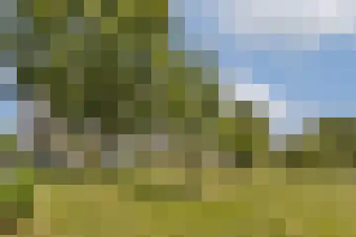 Bijlmerdreef 1101 Amsterdam thumbnail 29