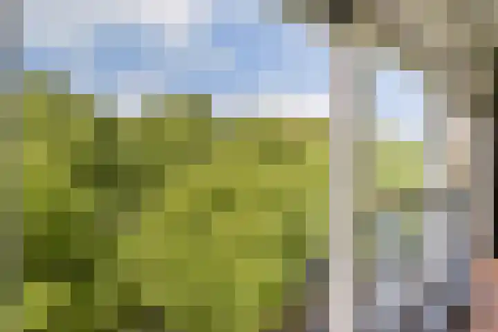 Bijlmerdreef 1101 Amsterdam thumbnail 4